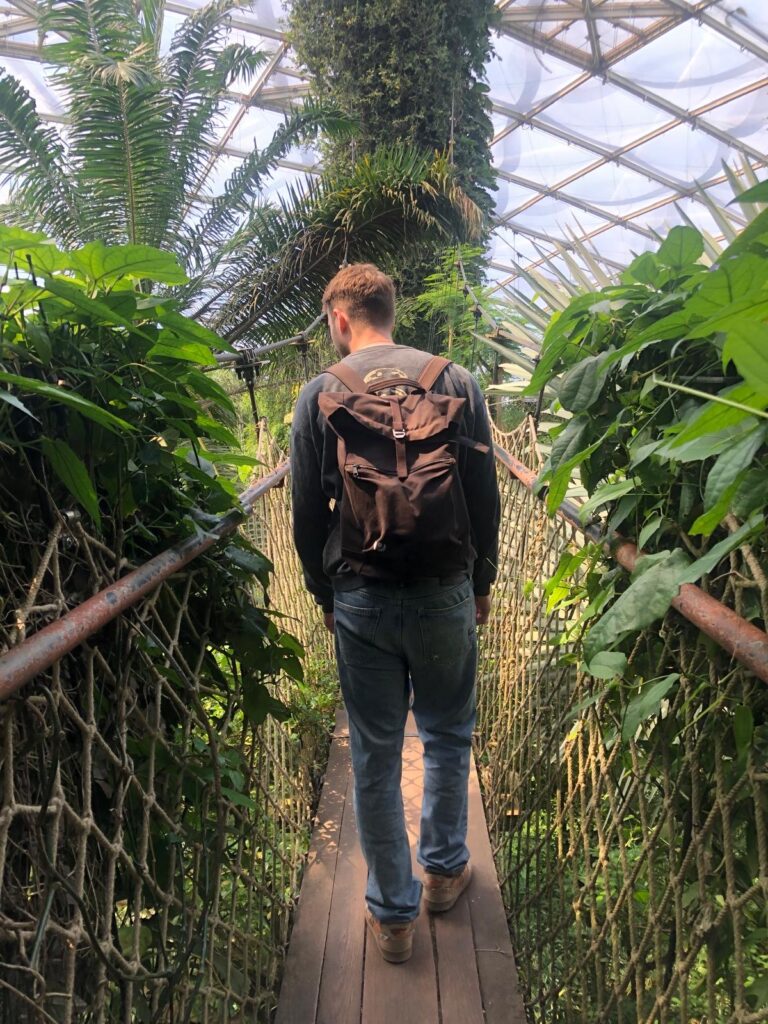 Ein Bild von mir im Leipziger Zoo, umgeben von einer Dschungelkulisse, die mit üppiger Vegetation und exotischen Tierarten eine atmosphärische Umgebung schafft.